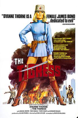 天津seo优化公司分类